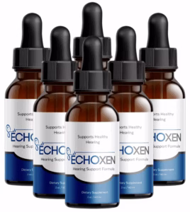 EchoXen